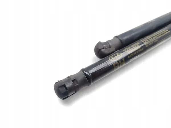 Kia Niro Takaluukun Kaasunostin Oikea 2021 SUV image 5