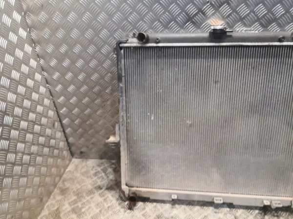 Radiador Nissan Pathfinder R51 2008 OEM 21410EB30A image 2