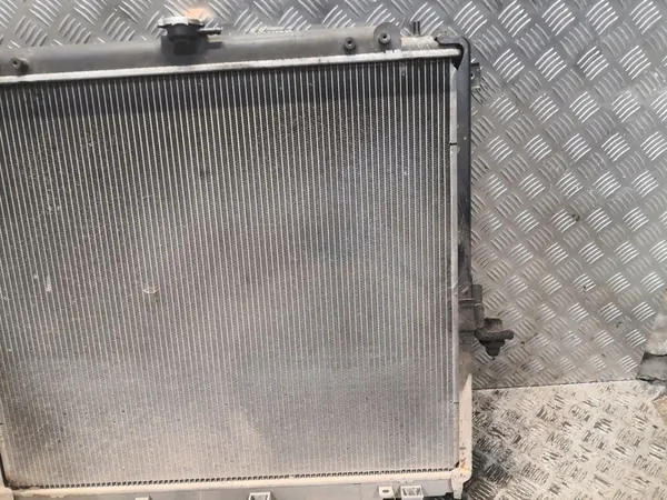 Radiador Nissan Pathfinder R51 2008 OEM 21410EB30A image 3