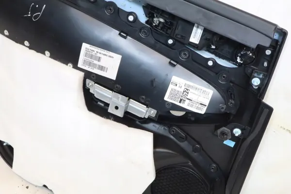 OEM 189000701-001 Ford Dörrpanel Höger Bak image 6