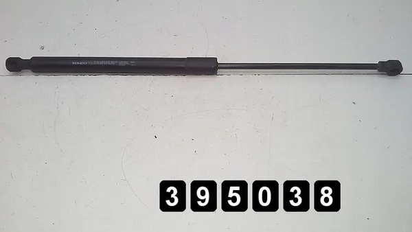 Supports de hayon arrière Dacia Sandero 2013 904529943r image 1