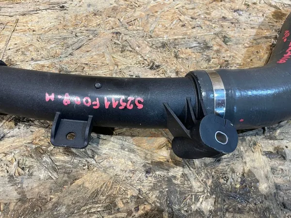 Renault Arkana 20- Intercooler Luftschlauch image 2