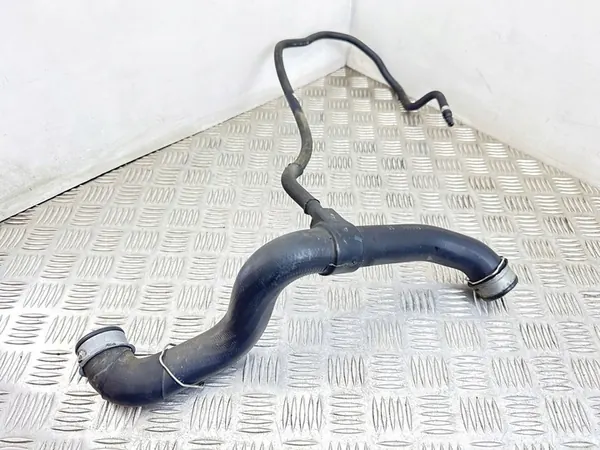 Mercedes-Benz S W221 2006 Radiateurslang image 3