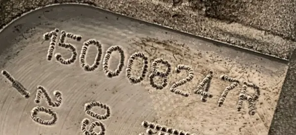 Olje pump Renault Mercedes 1.5 DCI 150008247R image 4