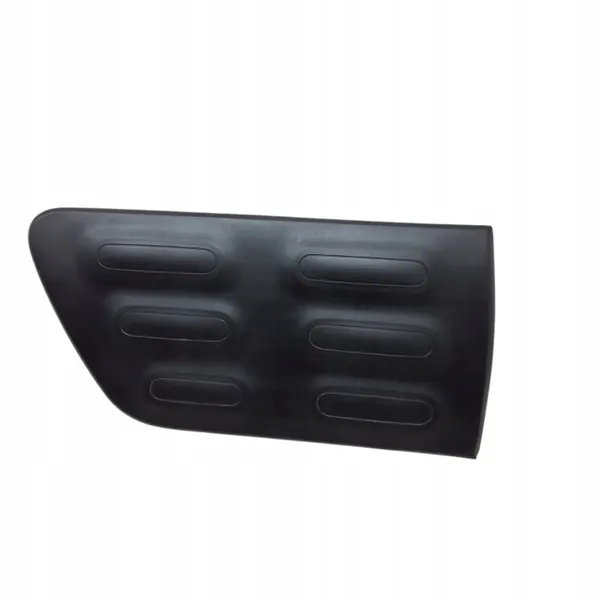 Citroen C4 Cactus 2013-16 Rechte Hintere Türleiste image 2