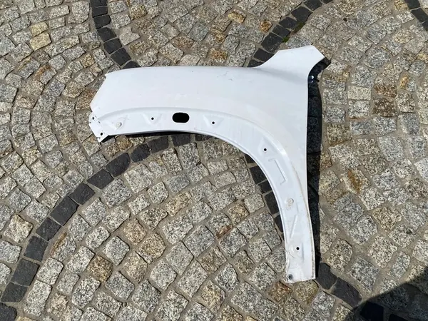 Fram vänster skärm Dacia SPRING, OEM 631012063R image 3