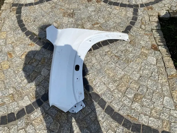 Fram vänster skärm Dacia SPRING, OEM 631012063R image 4