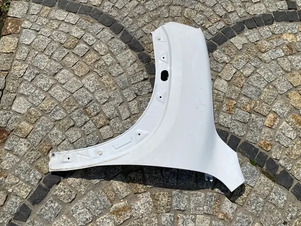 Fram vänster skärm Dacia SPRING, OEM 631012063R image 7