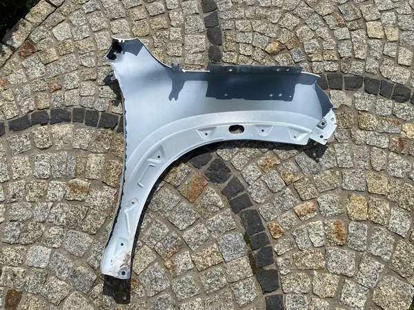 Fram vänster skärm Dacia SPRING, OEM 631012063R image 8