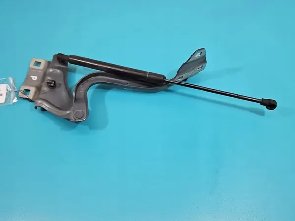 Bisagra de Capó Derecha Renault Megane IV image 4