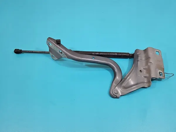 Bisagra de Capó Derecha Renault Megane IV image 6