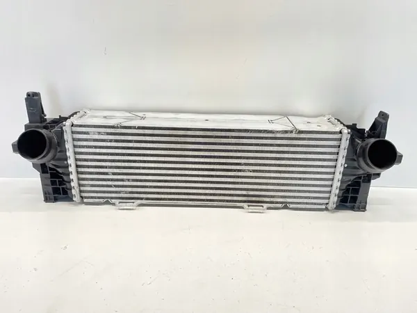 Intercooler BMW X5 G05 X6 G06 X7 G07 image 6