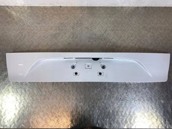 Alfa Romeo Stelvio Kennzeichenleuchte OEM LS395828 image 2