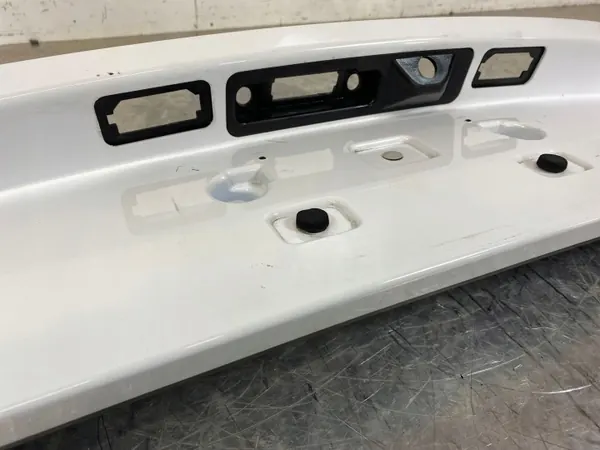 Alfa Romeo Stelvio Kennzeichenleuchte OEM LS395828 image 5