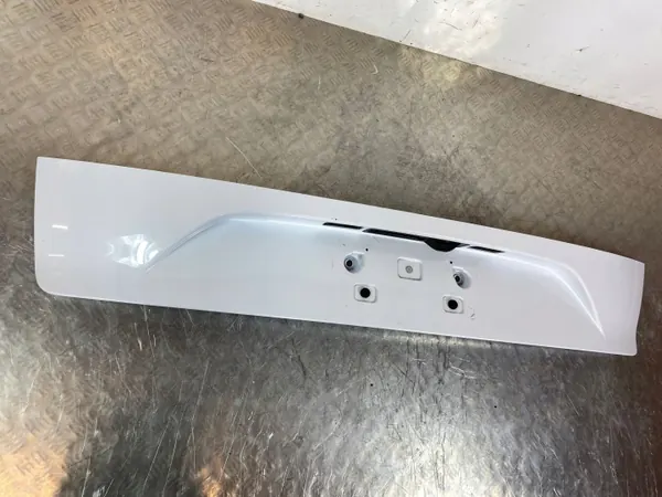 Alfa Romeo Stelvio Kennzeichenleuchte OEM LS395828 image 7