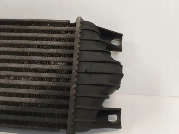 Radiador de intercooler OEM 874806M para Renault Master II image 3