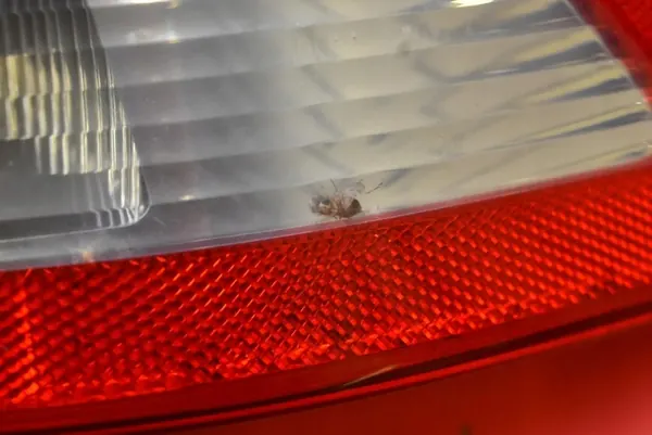 Höger Baklykta Saab 9-3 II Sedan 02-07 12785761 image 9