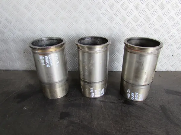 Mancais de motor MAN TGX Euro 6 12-20 image 2