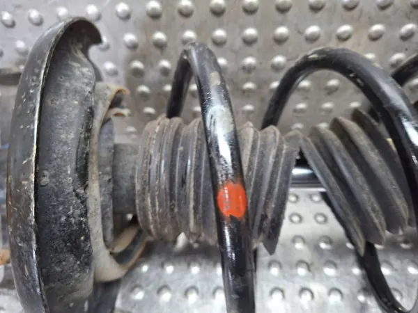 Etuvasen Jousitus OEM S26309778 Renault image 3