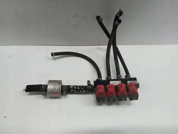 OEM 110R000047 Rail Injeção Gás Stag image 2