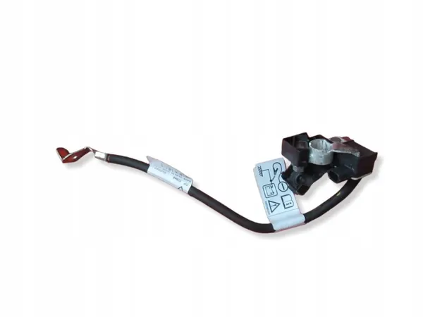 Pince Négative OEM A4209053001 pour Dacia Sandero III image 2