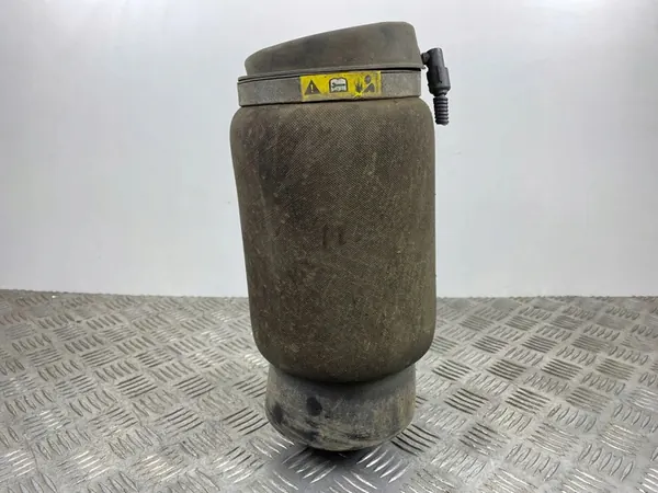 Sac de Suspension Pneumatique Arrière 68029912AE image 6