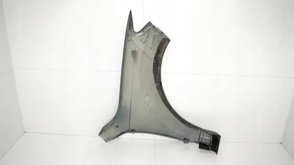 Fram vänster stänkskärm OEM 360175963 Audi Q7 4L 05-09 image 8