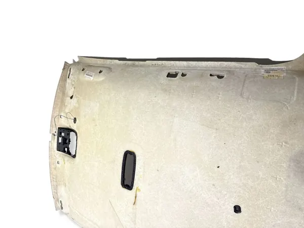 OEM 39807148 Volvo XC60 I LHD Plafonnier image 6