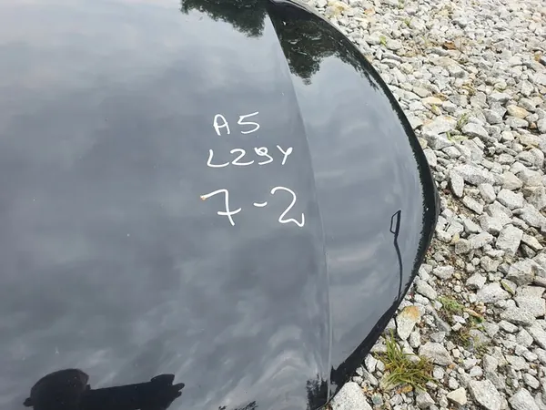 Audi A5 Framskärm Motorhuv LZ9Y image 2