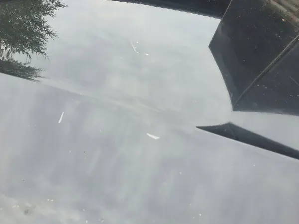 Audi A5 Framskärm Motorhuv LZ9Y image 6