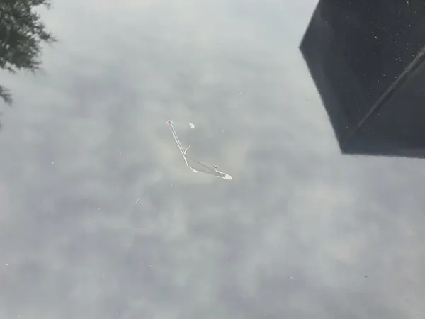 Audi A5 Framskärm Motorhuv LZ9Y image 7