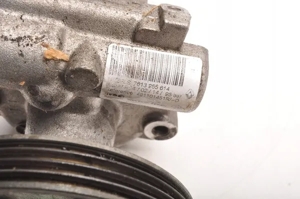 Bomba de direção assistida Dacia Sandero II 491101451R image 4