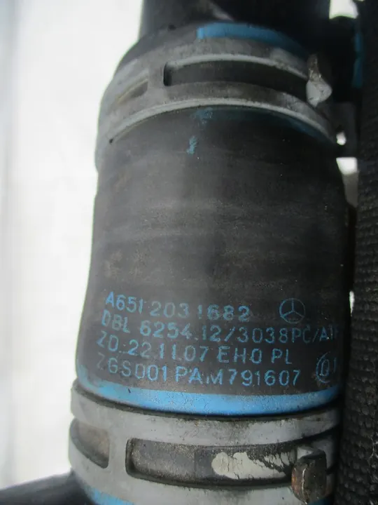 Carcasa de filtro de combustible y manguera de agua Mercedes Sprinter 2.2CDI image 9