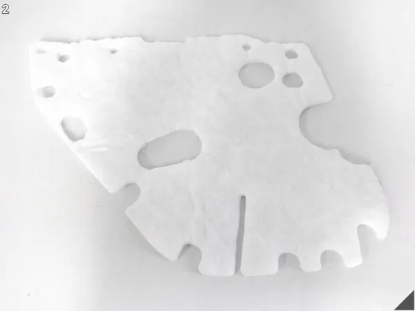 Aislamiento Puerta Trasera Derecha Tesla Model 3 OEM 1085196-00-D image 3