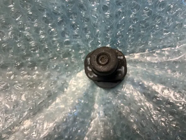 Para-choque esquerdo porta-bagagens BMW X5 E53 OEM 51247171557 image 4