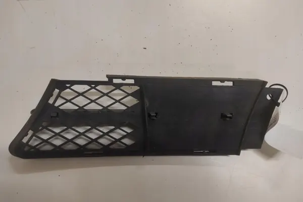 Griglia centrale paraurti BMW 3 E90 2007 image 3