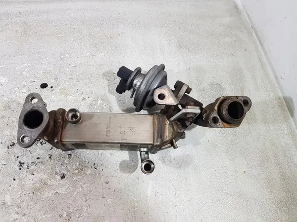 Enfriador EGR 7800653 BMW E90 E91 E87 E60 2.0D image 6