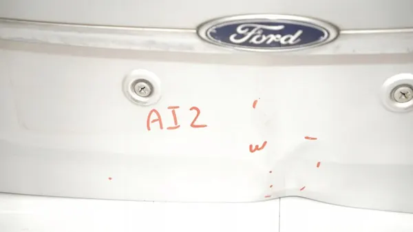 Puerta Trasera Ford Fiesta MK7 OEM 360160690 Usado image 4