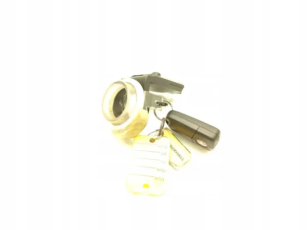 OEM 96673458 Antenne/Immobilisatorschleife Vauxhall Antara image 4