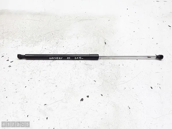 Supports de capot avant Dacia Sandero 2013 7000210541c0 image 1