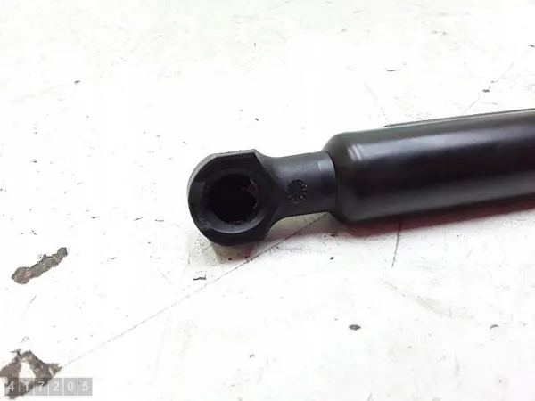 Supports de capot avant Dacia Sandero 2013 7000210541c0 image 3