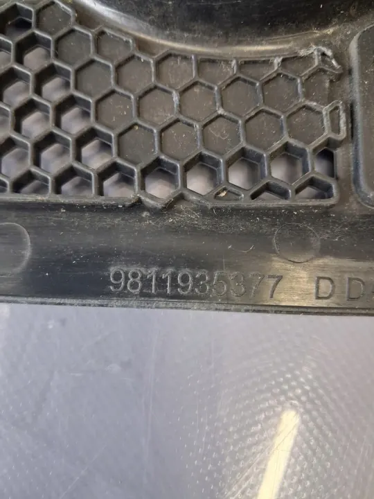 CITROEN C3 III rechte Windschutzscheibendichtung OEM 9811935377 image 6