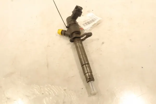 Injector Volvo OEM 0445110298 para D5 185CV image 2