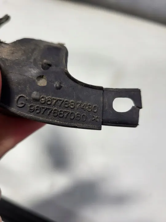 Joint de porte arrière droit OEM 9677887480 Peugeot 308 II image 7