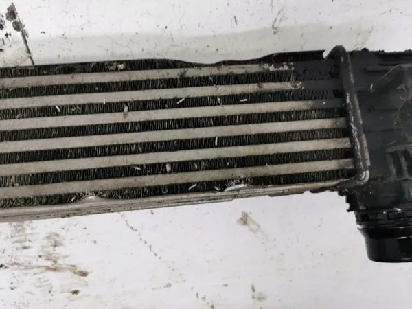 Intercooler OEM 144963639R voor Renault Scenic III 1.2 TCE image 8