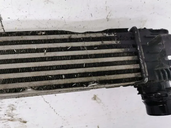 Intercooler OEM 144963639R voor Renault Scenic III 1.2 TCE image 9
