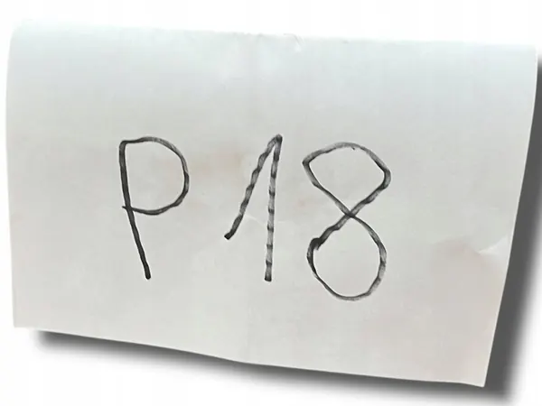 MERCEDES-BENZ A KL W169 08-11 Griglia Paraurti Sinistra A1698870525 image 4