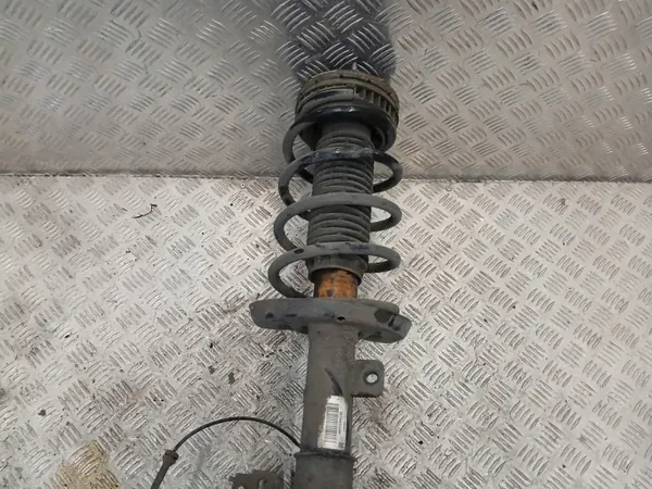 OEM 508MCPHERSONPRAWY Amortiguador Derecho McPherson Peugeot image 6