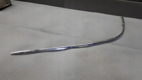 Moldura de parachoques delantero izquierdo Mercedes A2208850174 image 4