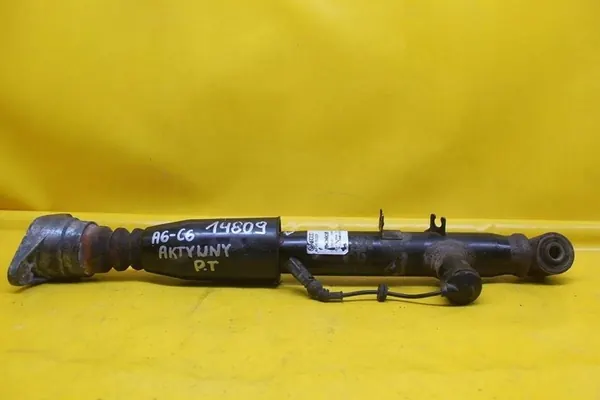 Ammortizzatore McPherson Attivo Destro Posteriore Audi A6 C6 4F0616032K image 3